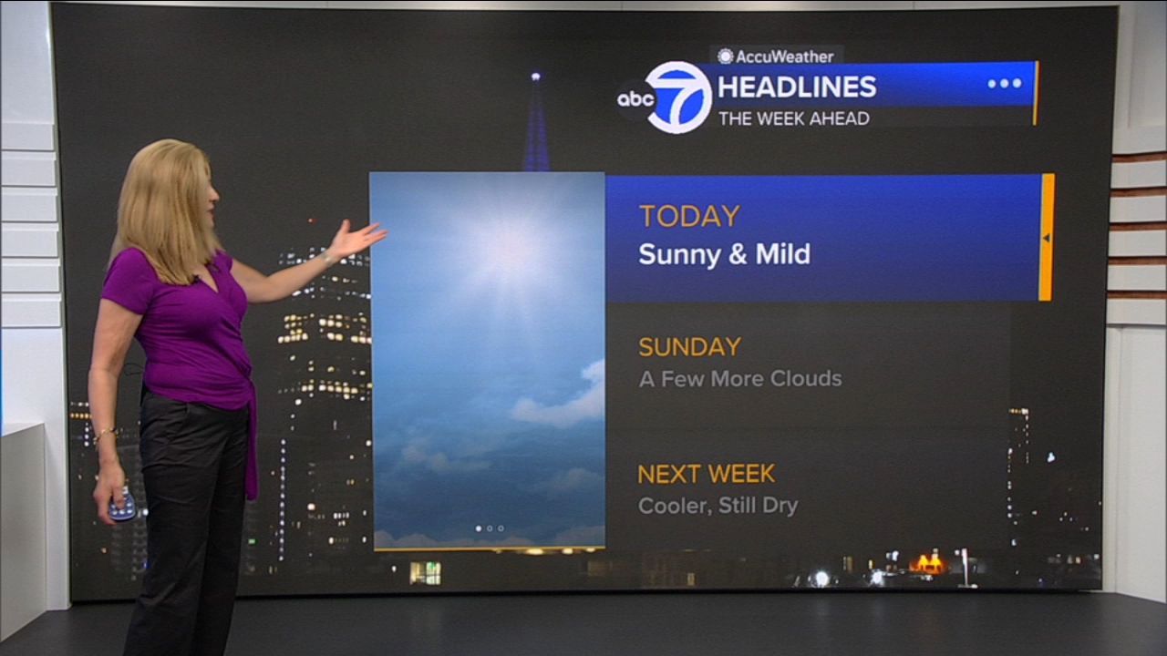 AccuWeather Forecast: Sunny and mild
— ABC 7 Bay Area, League City Community news