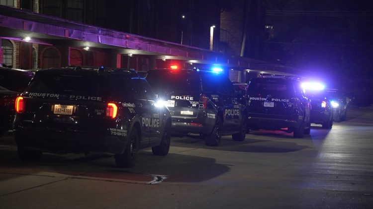 Man wearing Halloween costume shot after late-night encounter takes unexpected turn, Houston police say — League City Community news